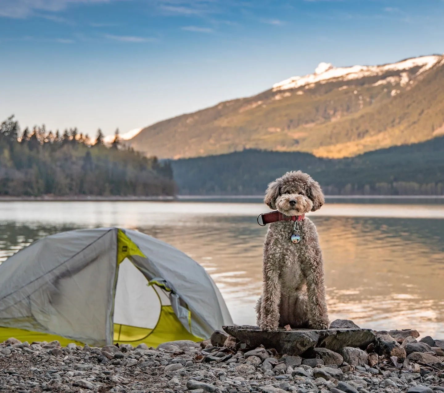 MEC Spark & AMP Backpacking Tents, photo 1